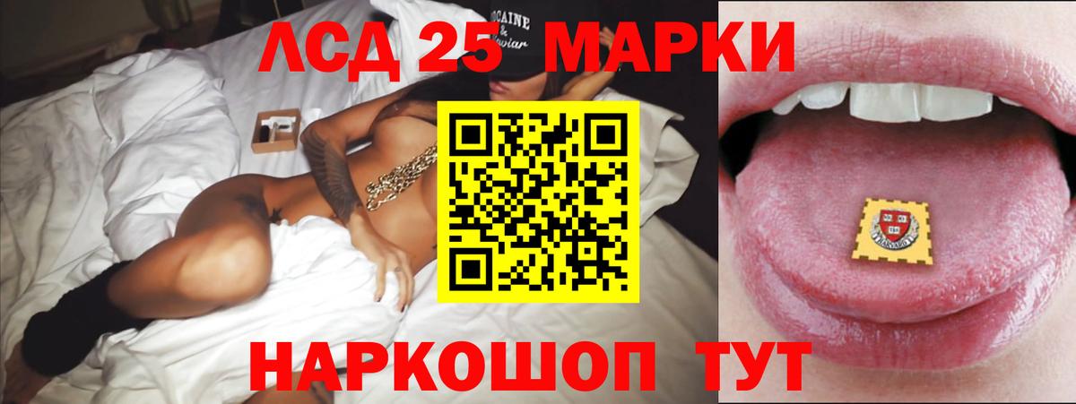 LSD-25 экстази  Вход с VPN  Новороссийск  ЛСД экстази кислота  ЛСД экстази кислота 
