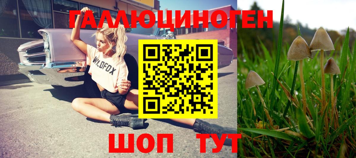 Галлюциногенные грибы Cubensis Новороссийск