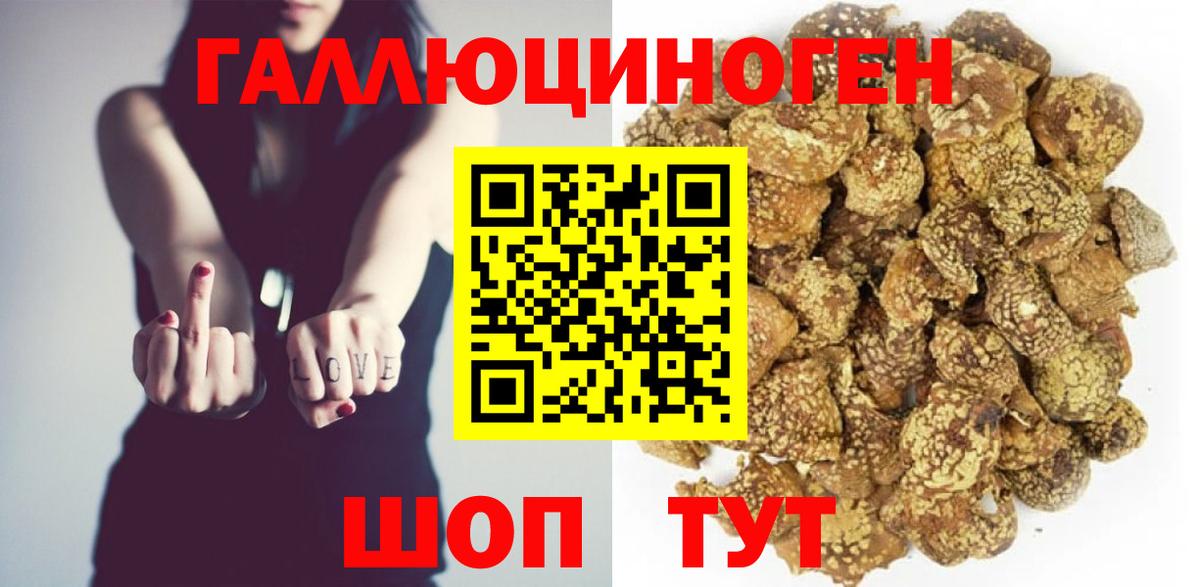 Псилоцибиновые грибы мухоморы  Вход с VPN  Псилоцибиновые грибы мухоморы  Новороссийск 